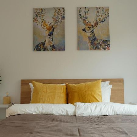 Apartamenty Rebergen W Kompleksie Apartamenty Piano Świeradów-Zdrój Екстериор снимка